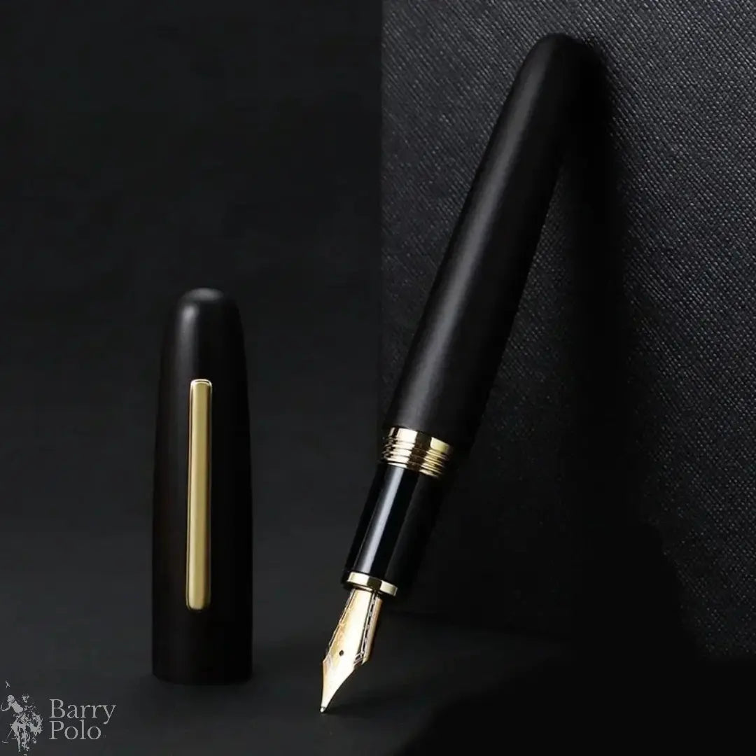 Elegant Natural Wood Fountain Pen with Gold Clip Barry Polo