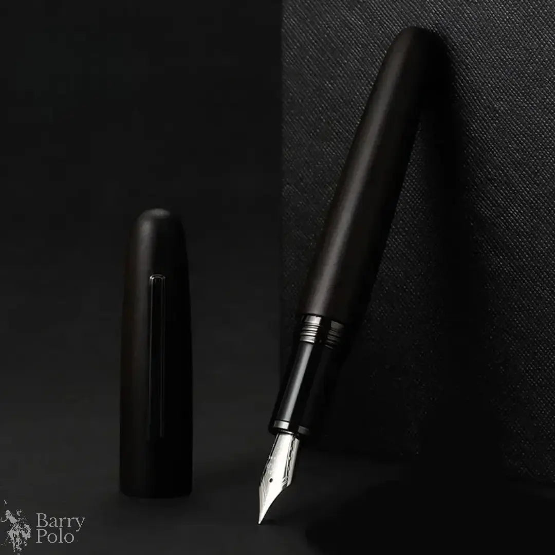 Elegant Natural Wood Fountain Pen with Gold Clip Barry Polo