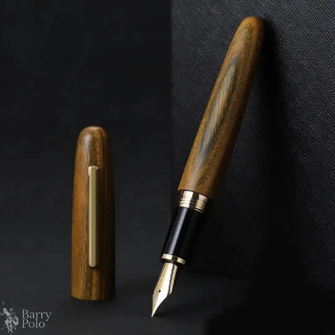Elegant Natural Wood Fountain Pen with Gold Clip Barry Polo